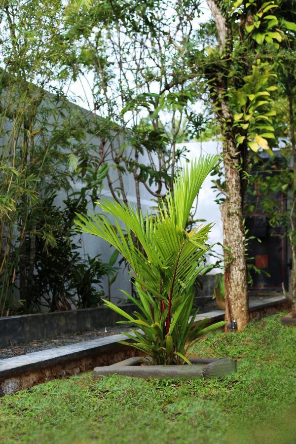 Triple Edge Villa Unawatuna Luaran gambar